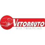 Ícone da VETORAUTO MULTIMARCAS LTDA