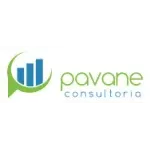 Ícone da PAVANE ADMINISTRACAO E CONTABILIDADE LTDA