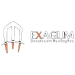 EXAGIUM ENSAIOS EM FUNDACOES LTDA