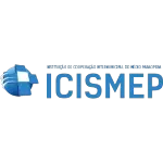 ICISMEP LOG