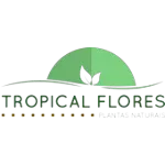 TROPICAL FLORES E FRUTAS