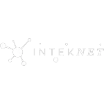 Ícone da INTEKNET SOLUCOES EM TI  LTDA