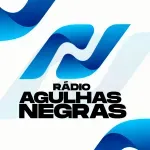 Ícone da RADIO AGULHAS NEGRAS DE RESENDE LTDA