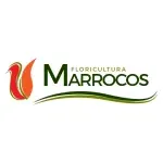 FLORICULTURA MARROCOS