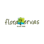 FLORA 7 ERVAS