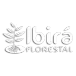 Ícone da IBIRA FLORESTAL SILVICULTURA E VIVEIROS LTDA