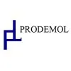 PRODEMOL MOLDES LTDA