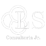 LS CONSULTORIA JUNIOR