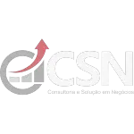 Ícone da CSN CONSULTORIA EM INFORMATICA E CUSTOMIZACAO DE SOFTWARE LTDA