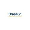 BRASSUD INDUSTRIA DE COMPONENTES METALICOS LTDA