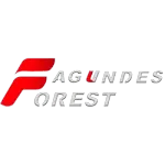FAGUNDES FOREST USINAGEM