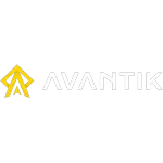 Ícone da AVANTIK CAPACITACAO CORPORATIVA LTDA