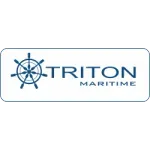 Ícone da TRITON MARITIME COMERCIO E SERVICOS LTDA