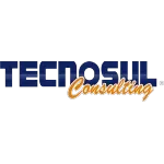 Ícone da TECNOSUL CONSULTING LTDA