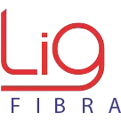 LIG TELECOM