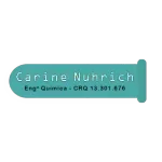 CARINE NUHRICH CONSULTORIA E ASSESSORIA