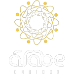 Ícone da ARABE CARIOCA EXPRESS LTDA