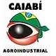 Ícone da CAIABI EMPRESA AGROINDUSTRIAL LTDA