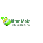 VBS CONSULTORIA