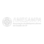 AMESAMPA