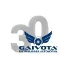 GAIVOTA DISTRIBUIDORA AUTOMOTIVA LTDA