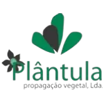 Ícone da PLANTULA COMERCIO DE PRODUTOS AGROPECUARIOS LTDA