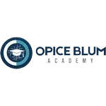 OPICE BLUM ACADEMY TREINAMENTO E CONSULTORIA LTDA