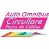 AUTO OMNIBUS CIRCULLARE POCOS DE CALDAS LTDA