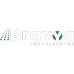 Ícone da BRAVYA FERTILIZANTES LTDA EM RECUPERACAO JUDICIAL