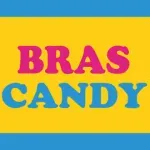 Ícone da BRASCANDY INTERNACIONAL LTDA