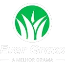 EVER GRASS