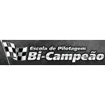 Ícone da BI  CAMPEAO PILOTAGEM DE COMPETICAO LTDA