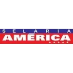 Ícone da SELARIA AMERICA INDUSTRIA E COMERCIO LTDA