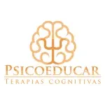 Ícone da PSICOEDUCAR INSTITUTO DE PSICOLOGIA E PSICANALISE LTDA