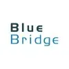 Ícone da BLUEBRIDGE ADVISORS LTDA