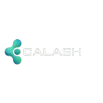 Ícone da CALASH REPRESENTACOES LTDA