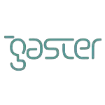 GASTER