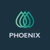 PHOENIX LLC ADMINISTRADORA DE BENS LTDA