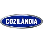 COZILANDIA EQUIPAMENTOS E SERVICOS LTDA