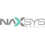 Ícone da NAXSYSSOLUCOES EM TECNOLOGIA SERVICOS E COMERCIO LTDA