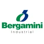 Ícone da BERGAMINI INDUSTRIA DE MAQUINAS LTDA