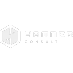 HAMMER CONSULT