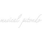 Ícone da MUSICAL PITONDO COMERCIO DE INSTRUMENTOS MUSICAIS LTDA