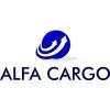 Ícone da ALFA CARGO TRANSPORTES INTERNACIONAIS LTDA