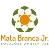 MATA BRANCA JR