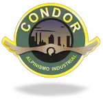 Ícone da CONDOR SERVICOS E OBRAS LTDA