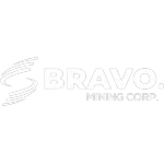 BRAVO MINERACAO LTDA