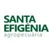 Ícone da SANTA EFIGENIA AGROPECUARIA LTDA