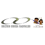 COLEGIO CUNHA CARVALHO CURUMIM LTDA