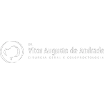 Ícone da VITOR AUGUSTO DE ANDRADE LTDA